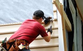 Best Siding for Commercial Buildings  in Forrest, IL